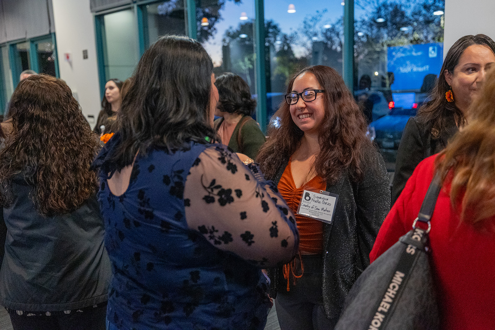 Governance and board work